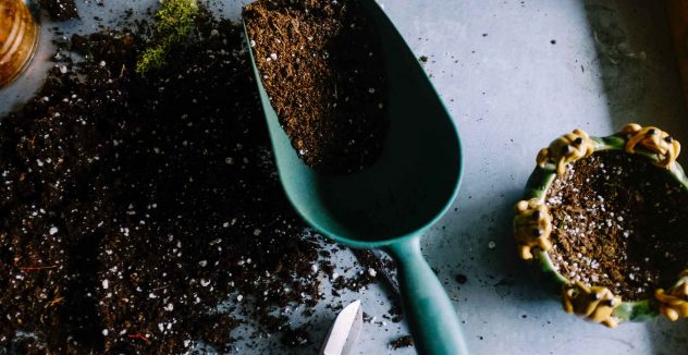 3 Things You Need to Know About Topsoil